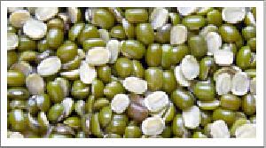 Split Green Beans