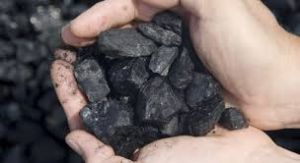 Indonesian Coal