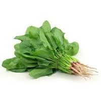 Fresh Spinach