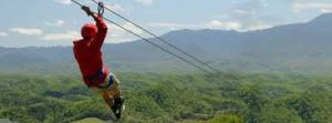 Zipline Services