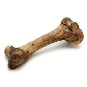 bone