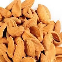 Mamra Almond