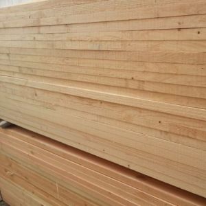 Softwood