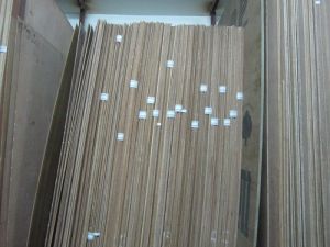 Teak Plywood