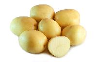 White Potato