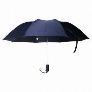 Folding Auto Umbrella