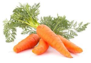 Fresh Carrot