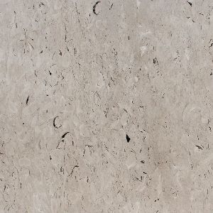 Fossil Grey Marble Stone
