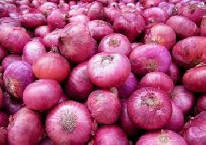 Fresh Onions