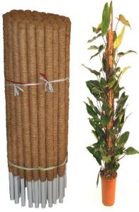 coir pole