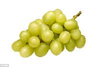 Fresh Grapes