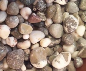 Zebra Pebble Stones