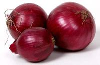 Fresh Red Onion