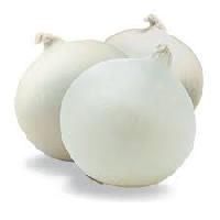 Fresh White Onion