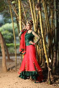 Designer Lehenga Choli