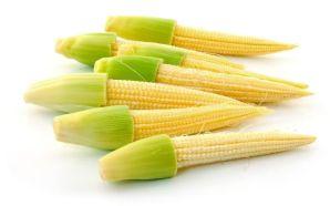 Fresh Baby Corn