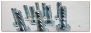 Hex Head Bolt