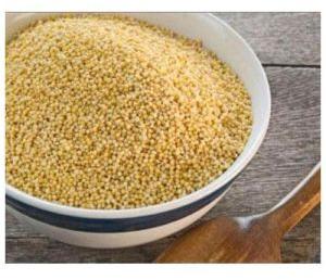 foxtail millet