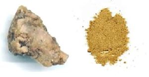 Asafoetida