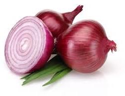 Fresh Onion