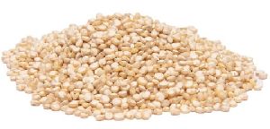 Quinoa Seeds