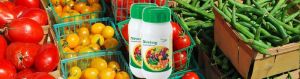 Nova Veg Plant Growth Promoter