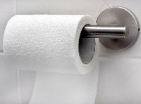 Toilet Paper Rolls