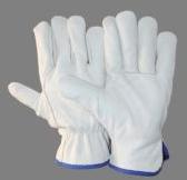 EW-DC72 Driving Gloves