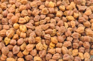 Bengal Gram Seeds