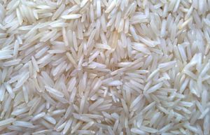 Sugandha Basmati Rice