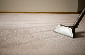 carpet dry cleaning services