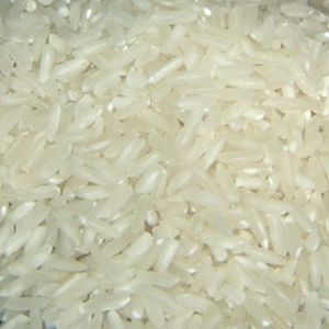 Kolam Rice