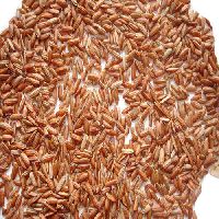 Pure Brown Rice