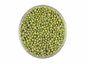 Green Millet