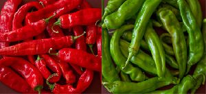 Green And Red Chilli