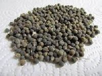 bhindi seeds