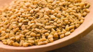 Fenugreek Seeds