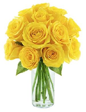 Fresh Yellow Cut Rose Flowers