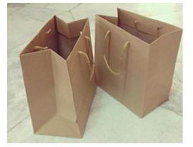 Paper Bag with Rope Handles