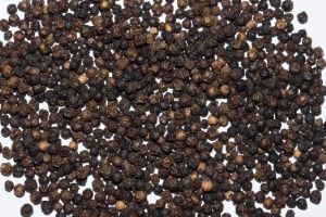 Black Pepper Seeds