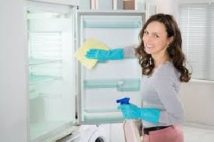 Fridge Cleaner