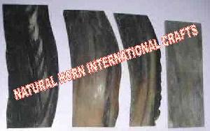 water buffalo horn plates