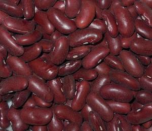 Dark Red Kidney Beans