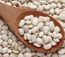 Small White Kidney Beans