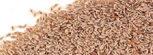 Psyllium Seeds