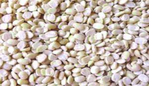 Skinned and Split White Lentil (Urad Dal)