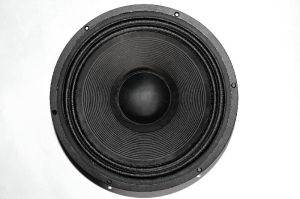 12 Inch 120 Watt Speaker