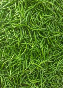 Fresh Green Chilli