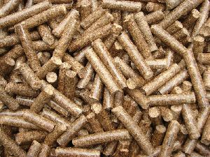 Poultry Feed Pellet