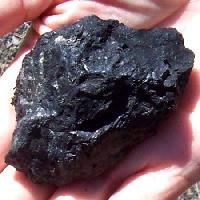 Coal